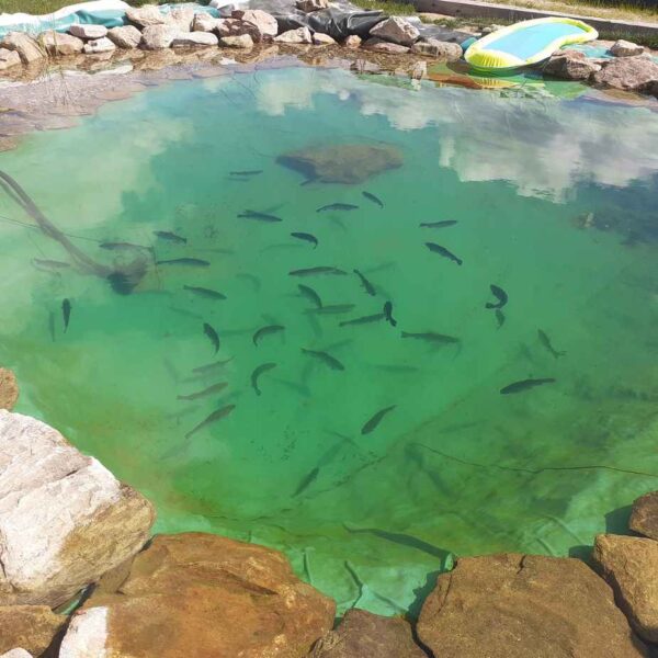 Izolace jezírek a bazúénů